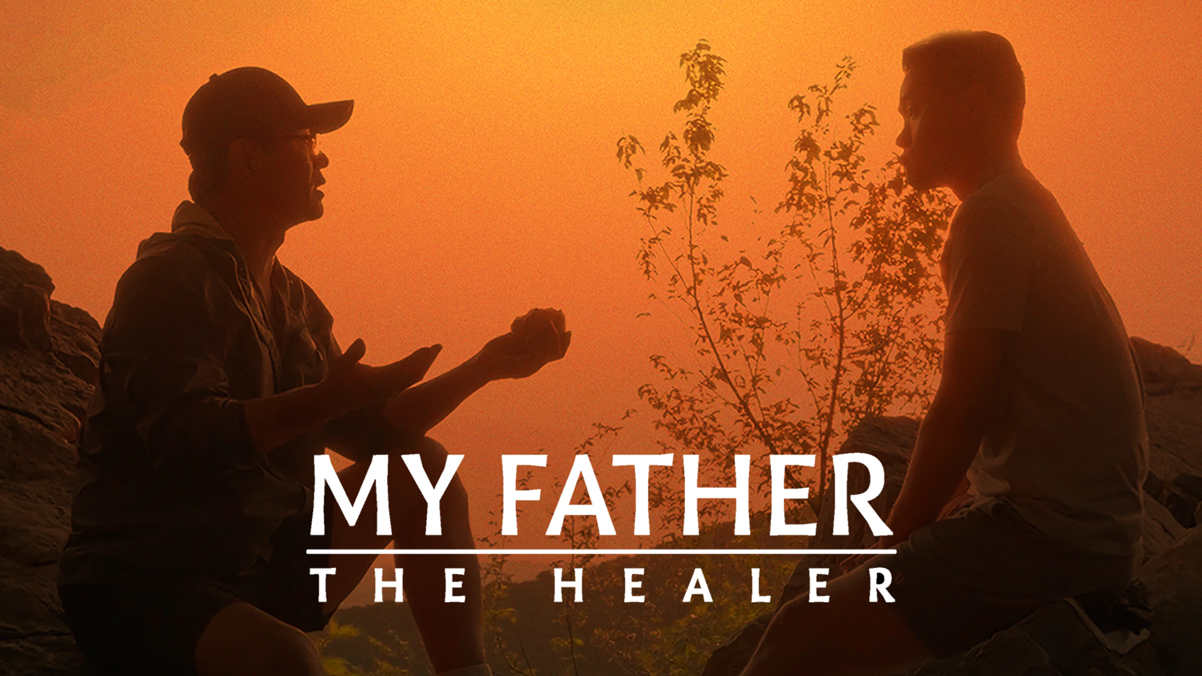My Father: The Healer poster